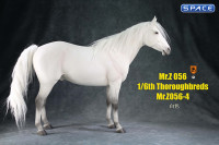 1/6 Scale Thoroughbred Horse (white)