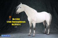 1/6 Scale Thoroughbred Horse (white)