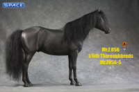 1/6 Scale Thoroughbred Horse (black)