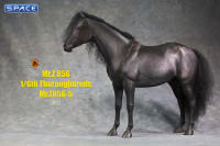 1/6 Scale Thoroughbred Horse (black)