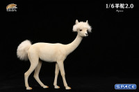 1/6 Scale Alpaca 2.0 (white)