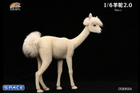 1/6 Scale Alpaca 2.0 (white)