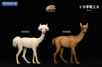 1/6 Scale Alpaca 2.0 (white)