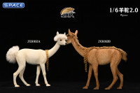 1/6 Scale Alpaca 2.0 (white)