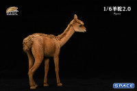 1/6 Scale Alpaca 2.0 (brown)