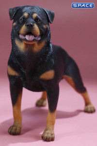 1/6 Scale Rottweiler 2.0 (black)