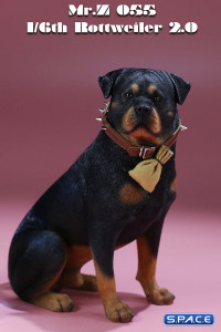 1/6 Scale sitting Rottweiler 2.0 (black)