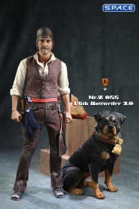 1/6 Scale sitting Rottweiler 2.0 (black)