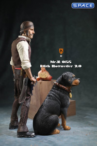 1/6 Scale sitting Rottweiler 2.0 (black)