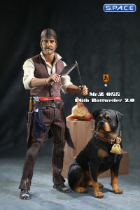 1/6 Scale sitting Rottweiler 2.0 (black)