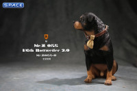 1/6 Scale sitting Rottweiler 2.0 (black)