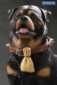 1/6 Scale Rottweiler 2.0 (black/dark brown)