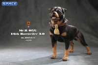 1/6 Scale Rottweiler 2.0 (black/dark brown)