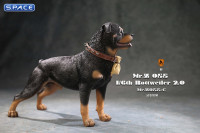 1/6 Scale Rottweiler 2.0 (black/dark brown)