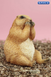 1/6 Scale Marmota Version C