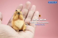 1/6 Scale Marmota Version C