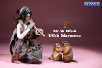 1/6 Scale Marmota Version C