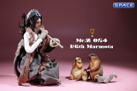 1/6 Scale Marmota Version C