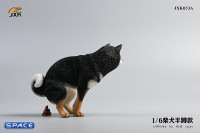 1/6 Scale Shiba Inu half squat (black)