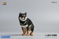 1/6 Scale Shiba Inu half squat (black)