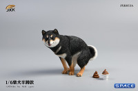 1/6 Scale Shiba Inu half squat (black)