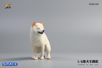 1/6 Scale Shiba Inu half squat (white)