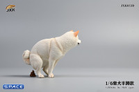 1/6 Scale Shiba Inu half squat (white)