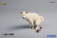 1/6 Scale Shiba Inu half squat (white)