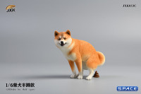 1/6 Scale Shiba Inu half squat (brown)