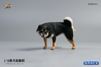 1/6 Scale Shiba Inu leg lift (black)