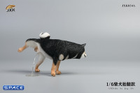 1/6 Scale Shiba Inu leg lift (black)