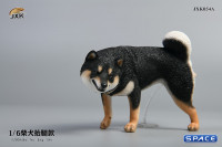 1/6 Scale Shiba Inu leg lift (black)