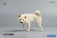 1/6 Scale Shiba Inu leg lift (white)