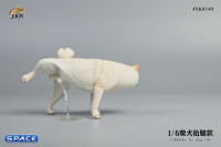 1/6 Scale Shiba Inu leg lift (white)