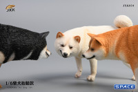 1/6 Scale Shiba Inu leg lift (white)