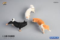 1/6 Scale Shiba Inu leg lift (white)