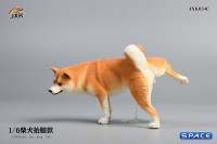 1/6 Scale Shiba Inu leg lift (brown)