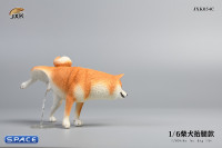 1/6 Scale Shiba Inu leg lift (brown)