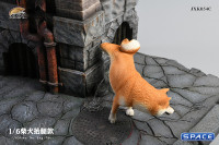 1/6 Scale Shiba Inu leg lift (brown)