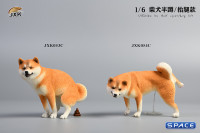 1/6 Scale Shiba Inu leg lift (brown)