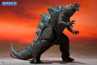 S.H.MonsterArts Godzilla (Godzilla vs. Kong)