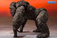 S.H.MonsterArts Kong (Godzilla vs. Kong)