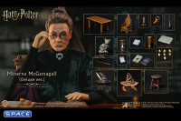 1/6 Scale Minerva McGonagall Deluxe Version (Harry Potter)