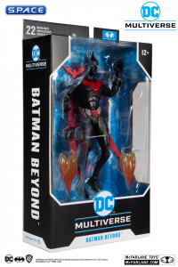 Batman Beyond (DC Multiverse)