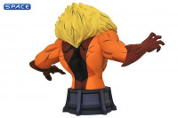 Sabretooth Bust (X-Men Animated Series)