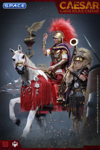 1/6 Scale War Horse of Julius Caesar