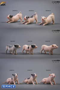 1/6 Scale Little Pig A2