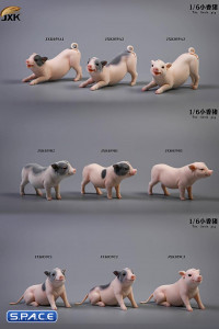 1/6 Scale Little Pig A3