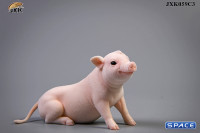 1/6 Scale Little Pig C3