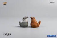 1/6 Scale Dwarf Rabbit Set A